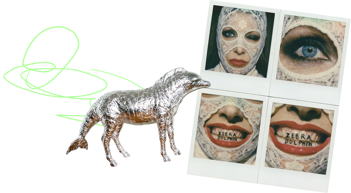 Foil-wrapped zebra dolphin next to Zebra Dolphin polaroids