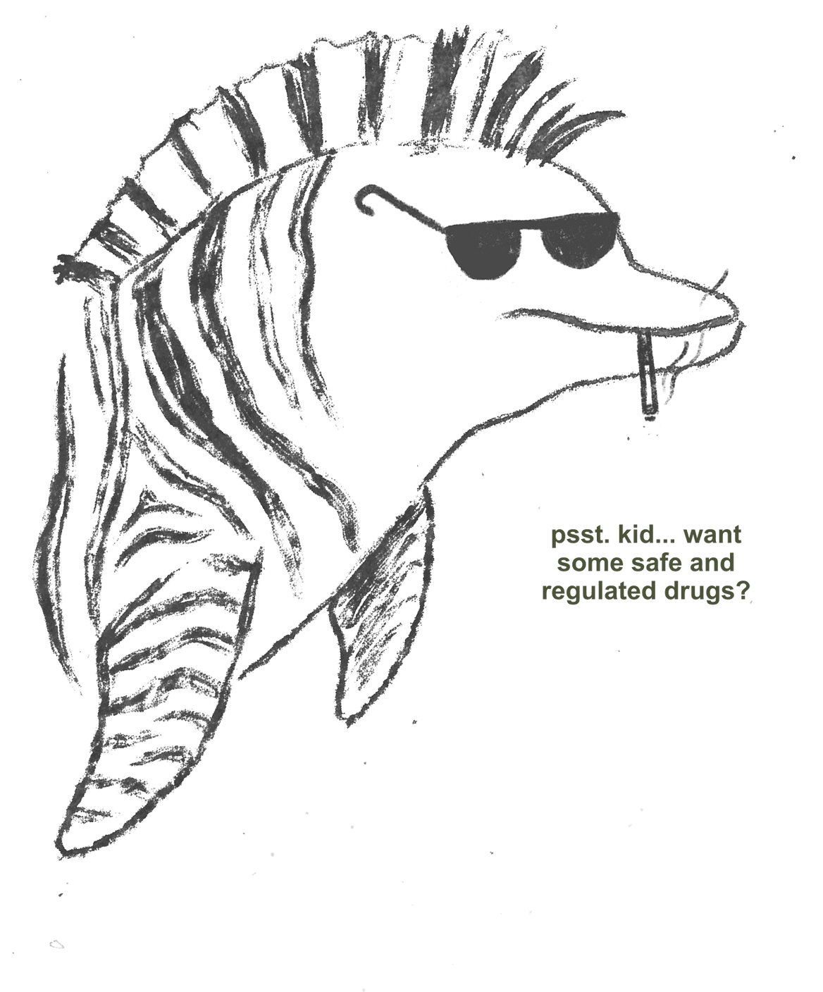 Zebra Dolphin