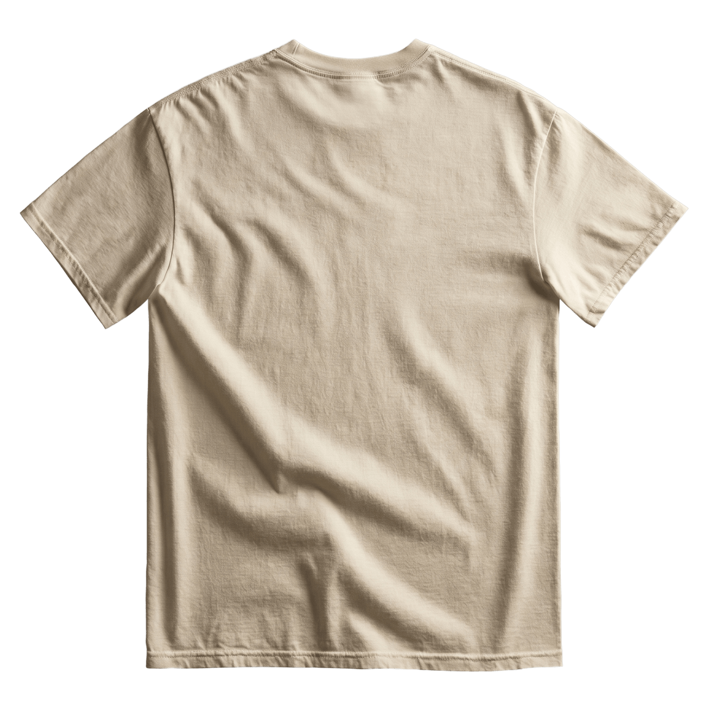 Camp Zebra Dolphin