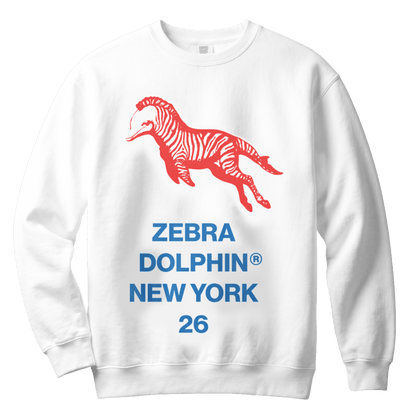 ZD NY 26