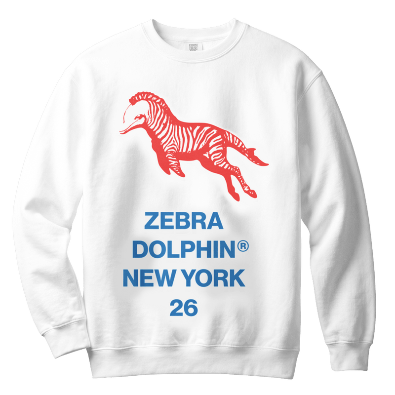 ZD NY 26