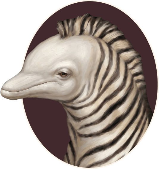 Zebra Dolphin mascot